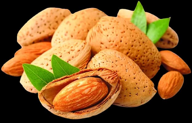 Almonds placeholder