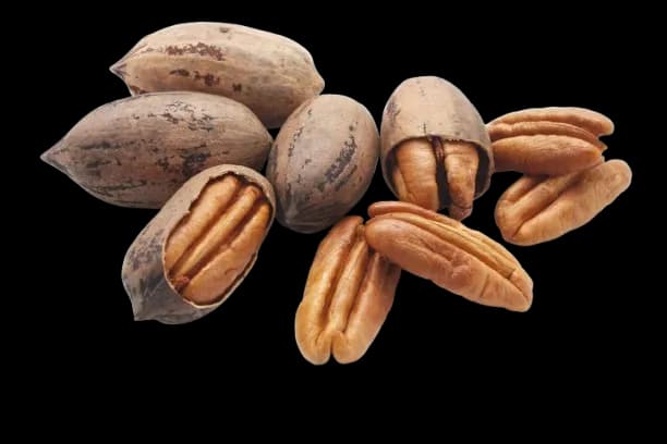 Pecans placeholder