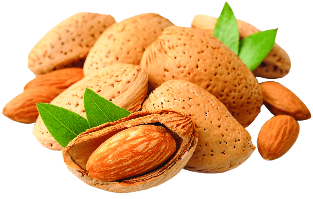 Almonds placeholder